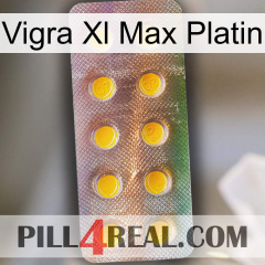 Vigra Xl Max Platinum new11